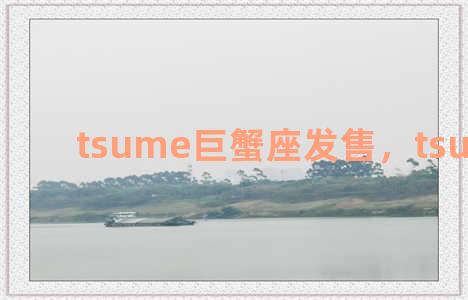 tsume巨蟹座发售，tsume 巨蟹